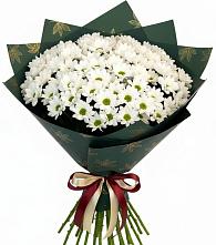 Букет цветов из:  Хризантемы в Избербаше