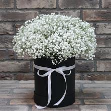Цветочная композиция из Гипсофила в шляпной коробке в Избербаше