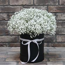 Цветочная композиция из Гипсофила в шляпной коробке в Избербаше