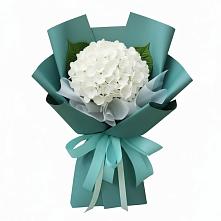 Букет цветов из:  Гортензия в Избербаше